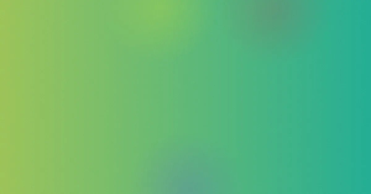 斌贝是什么？一篇讲明白